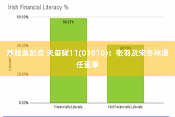 炒股票配资 天玺曜11(01010)：张羽及宋冬林退任董事