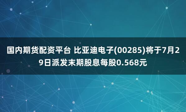国内期货配资平台 比亚迪电子(00285)将于7月29日派发末期股息每股0.568元