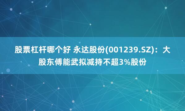股票杠杆哪个好 永达股份(001239.SZ)：大股东傅能武拟减持不超3%股份