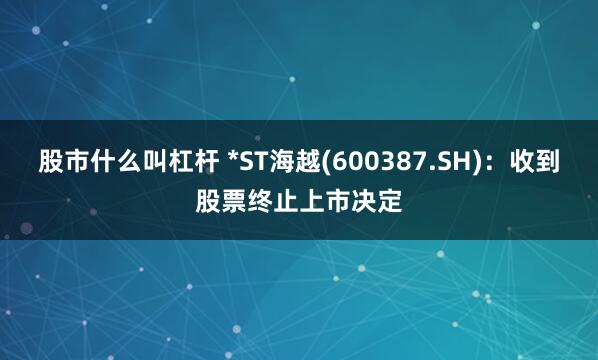 股市什么叫杠杆 *ST海越(600387.SH)：收到股票终止上市决定