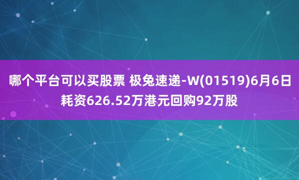 哪个平台可以买股票 极兔速递-W(01519)6月6日耗资626.52万港元回购92万股
