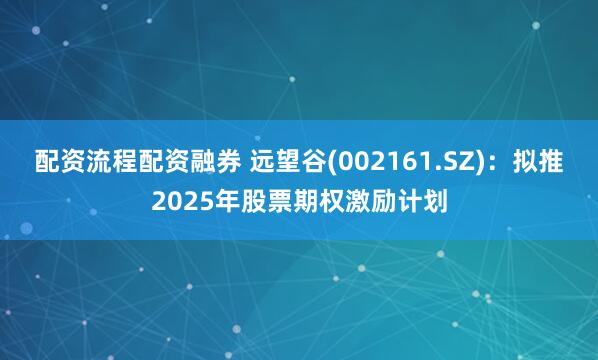 配资流程配资融券 远望谷(002161.SZ)：拟推2025年股票期权激励计划