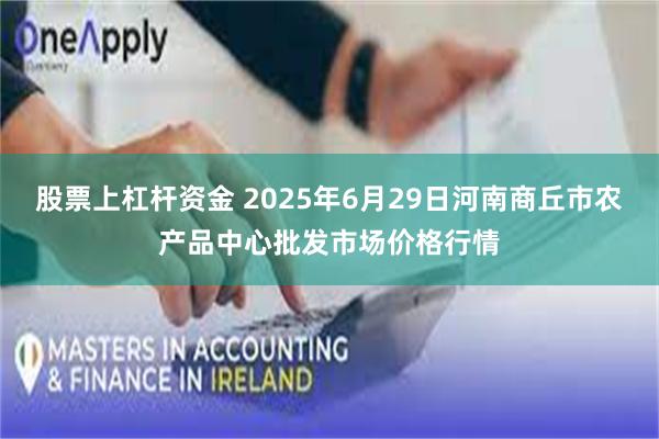股票上杠杆资金 2025年6月29日河南商丘市农产品中心批发市场价格行情