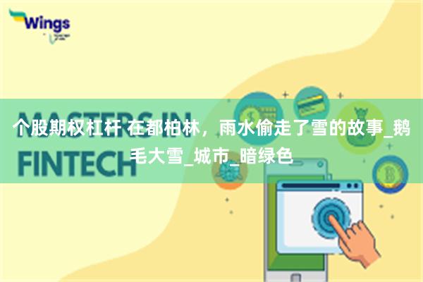 个股期权杠杆 在都柏林，雨水偷走了雪的故事_鹅毛大雪_城市_暗绿色
