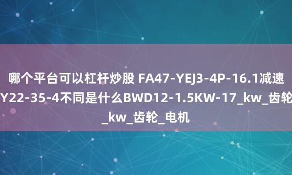 哪个平台可以杠杆炒股 FA47-YEJ3-4P-16.1减速机BWY22-35-4不同是什么BWD12-1.5KW-17_kw_齿轮_电机