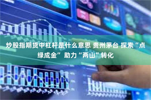 炒股指期货中杠杆是什么意思 贵州茅台 探索“点绿成金” 助力“两山”转化