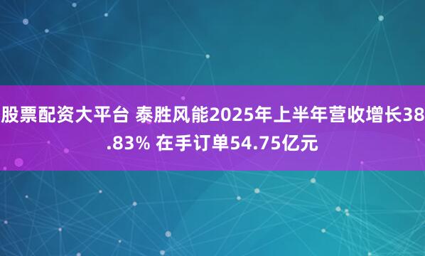 股票配资大平台 泰胜风能2025年上半年营收增长38.83% 在手订单54.75亿元
