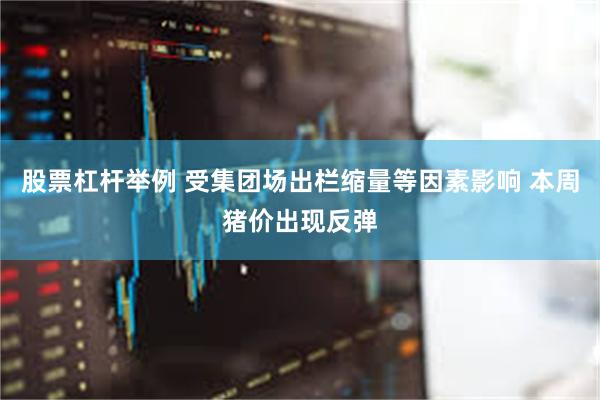 股票杠杆举例 受集团场出栏缩量等因素影响 本周猪价出现反弹