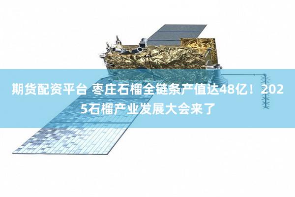 期货配资平台 枣庄石榴全链条产值达48亿！2025石榴产业发展大会来了