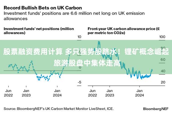 股票融资费用计算 多只强势股跳水！锂矿概念崛起 旅游股盘中集体走高