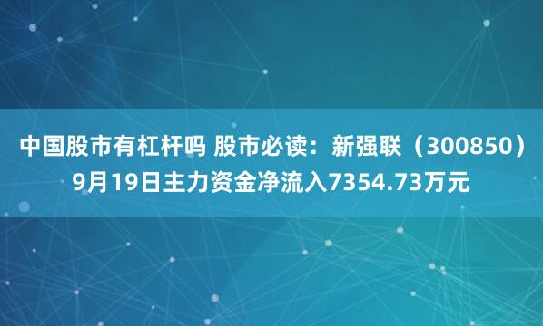 中国股市有杠杆吗 股市必读：新强联（300850）9月19日主力资金净流入7354.73万元
