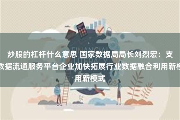 炒股的杠杆什么意思 国家数据局局长刘烈宏：支持数据流通服务平台企业加快拓展行业数据融合利用新模式