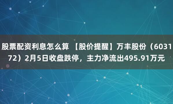 股票配资利息怎么算 【股价提醒】万丰股份（603172）2月5日收盘跌停，主力净流出495.91万元